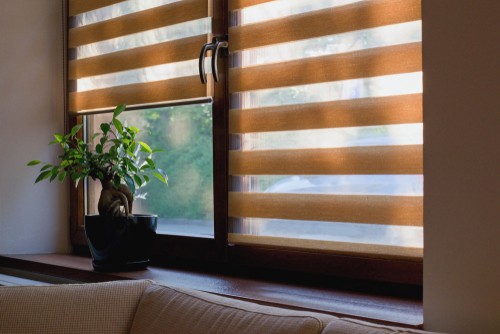 Delving Into the World of Roller Blinds